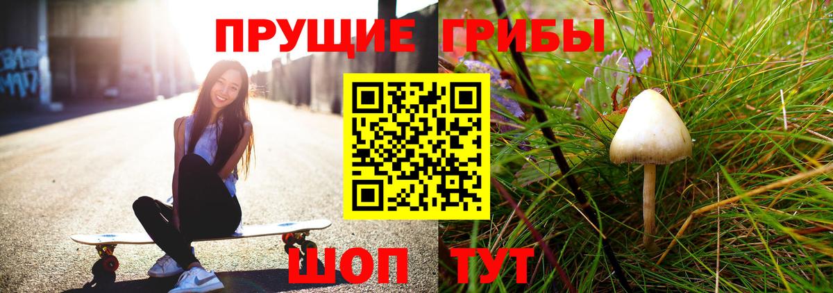 Галлюциногенные грибы MAGIC MUSHROOMS  Вход с VPN  Псилоцибиновые грибы Cubensis  цены наркотик  Сарапул 